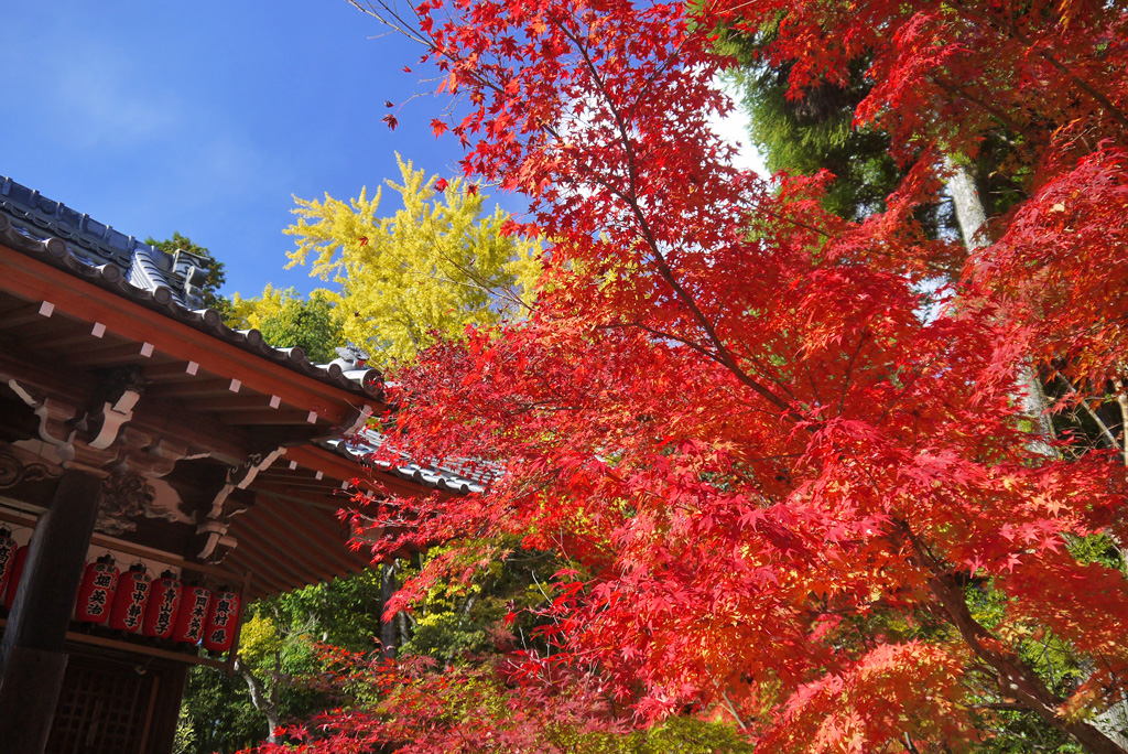 赤山禅院